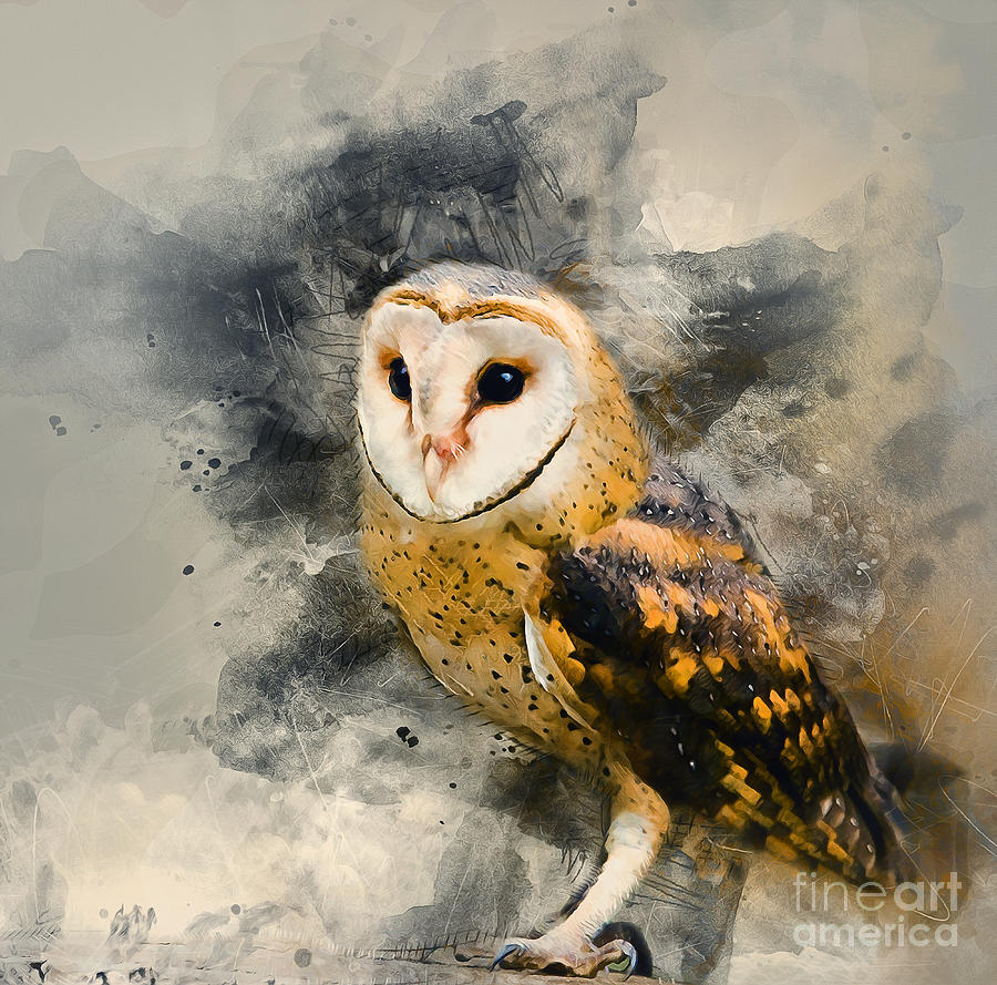 Barn Owl Mixed Media by Ian Mitchell