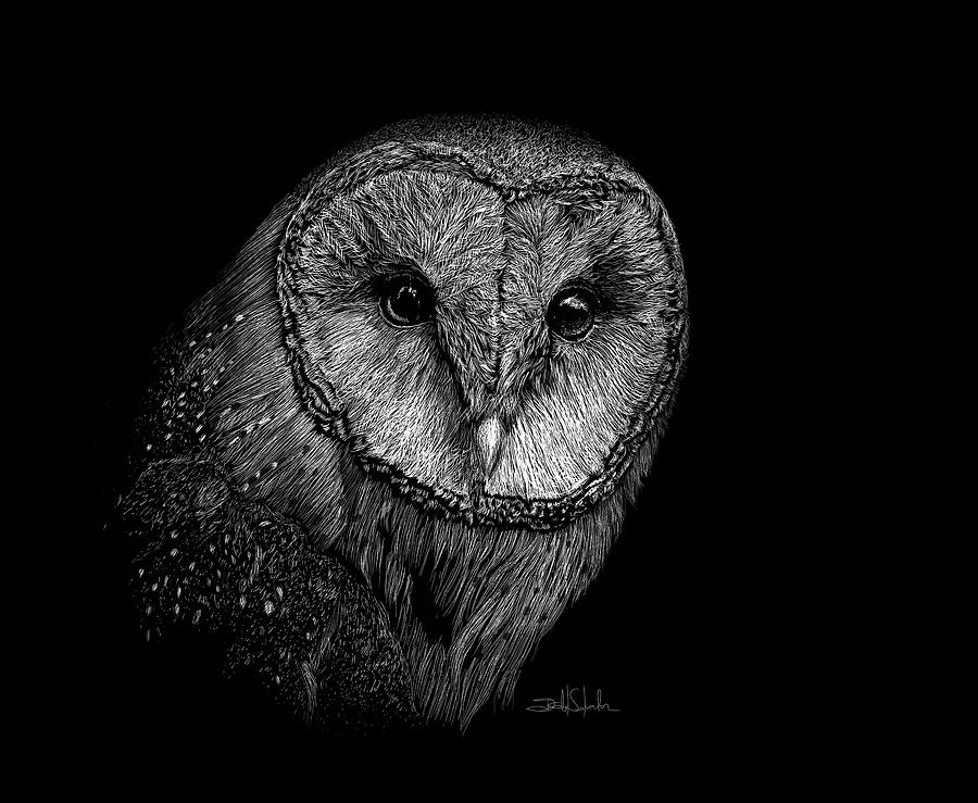 Barn Owl II Drawing by Isabel Salvador