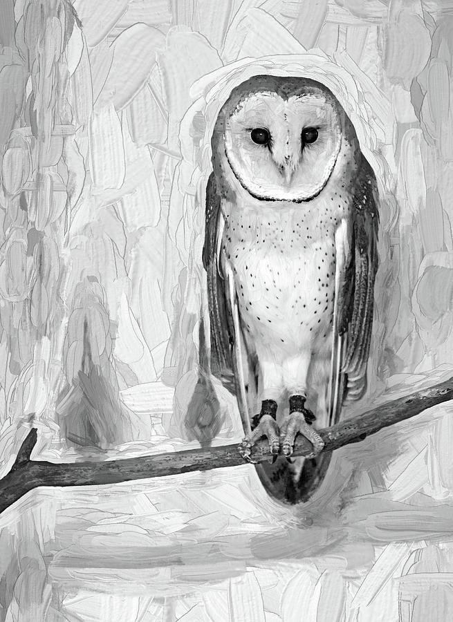 Barn Owl - Impasto bw Photograph by Steve Harrington
