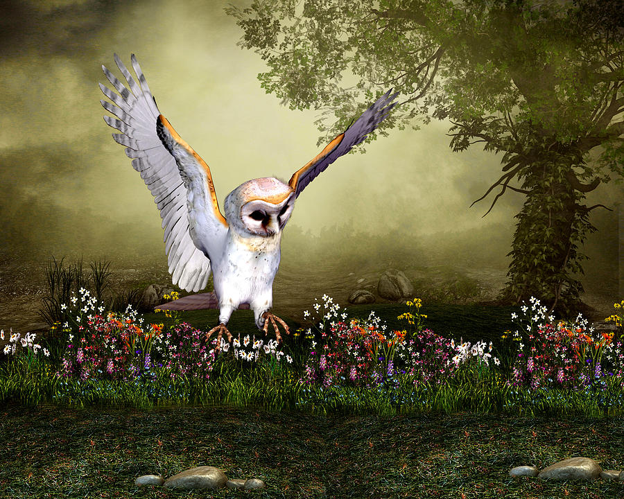 Barn Owl in fight Digital Art by John Junek