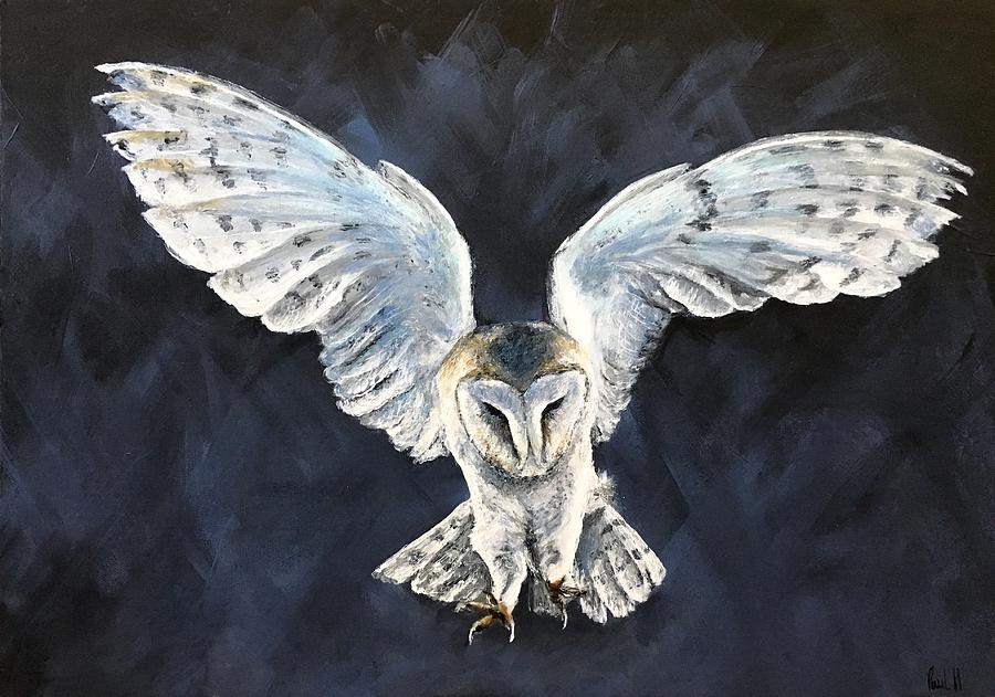 Owl Rustic Colours Hand painted Barn Owl 