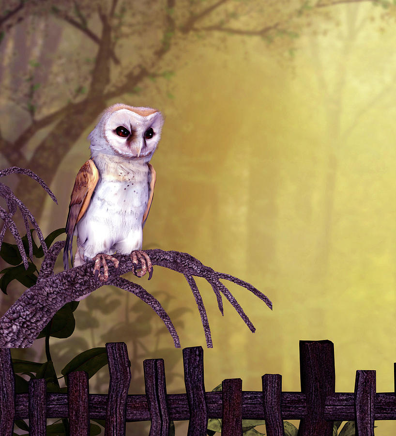 Barn Owl Digital Art by John Junek