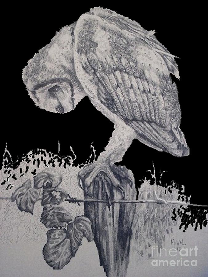 Barn Owl Night Drawing by William Michel