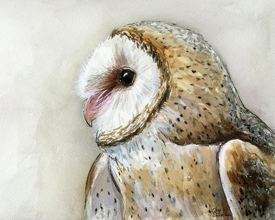 Owl Painting - Barn Owl Watercolor by Olga Shvartsur