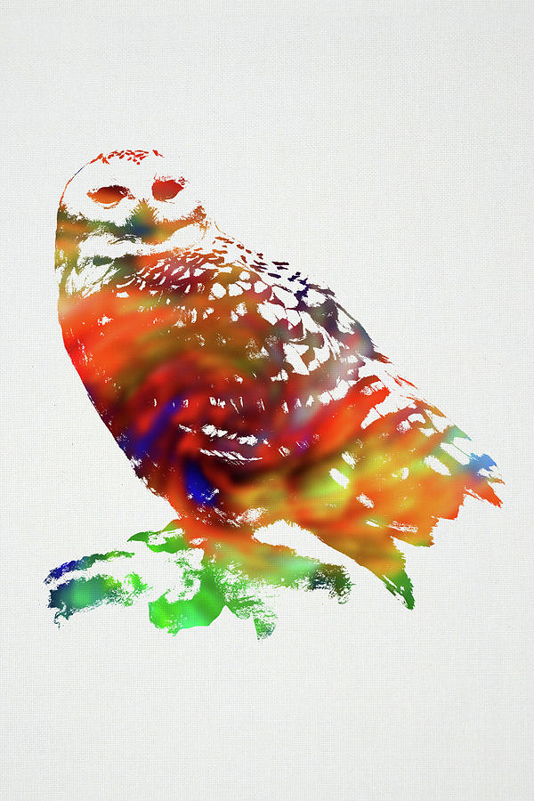 Owl Mixed Media - Barn Owl Wild Animals of the World Watercolor Series on White Canvas 005 by Design Turnpike