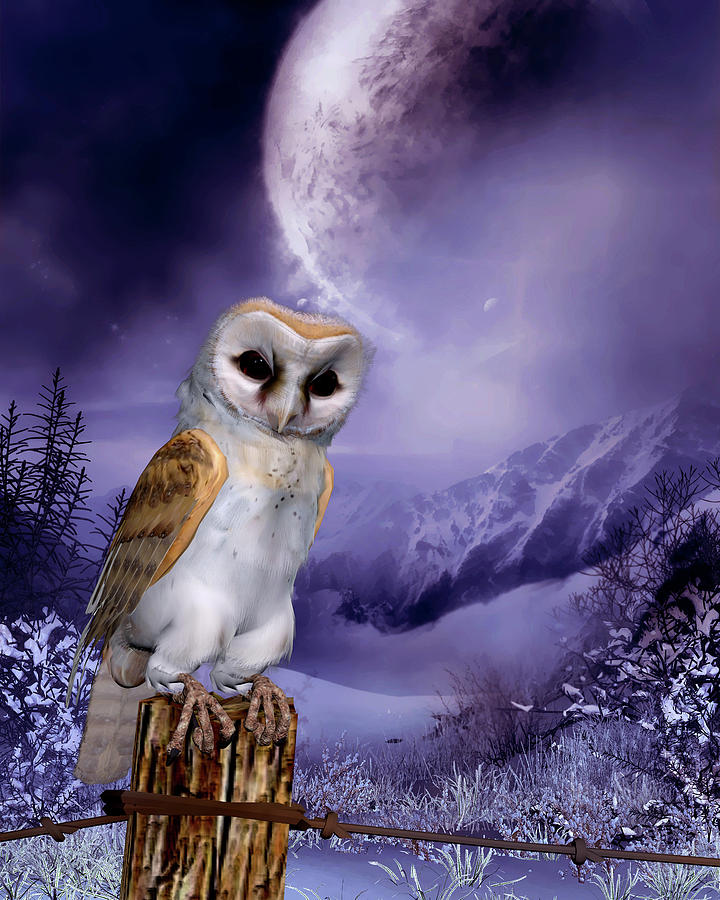 Barn Owl - Winter Scene Digital Art by John Junek