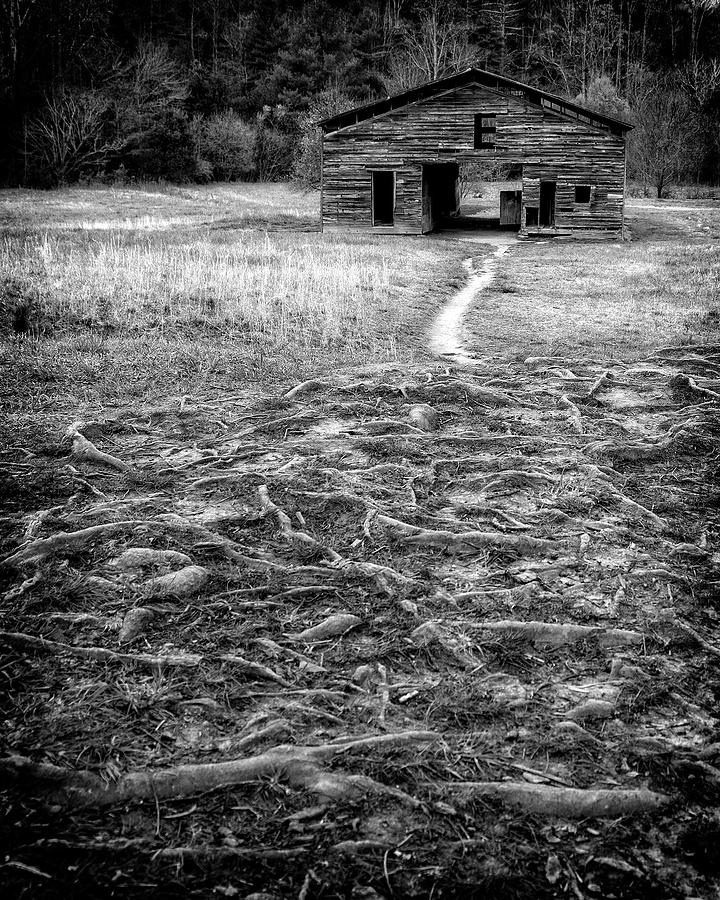 Barn Path Photograph by Alan Raasch