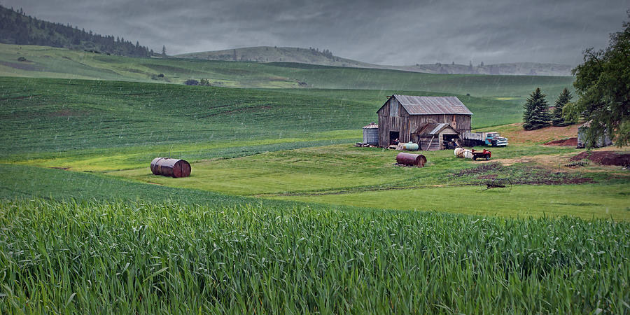 Barn - Rainy Day - Palouse Photograph by Nikolyn McDonald
