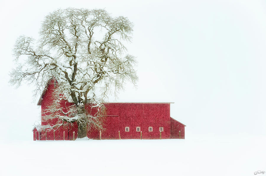 Barn Red Winter Photograph by Dee Browning