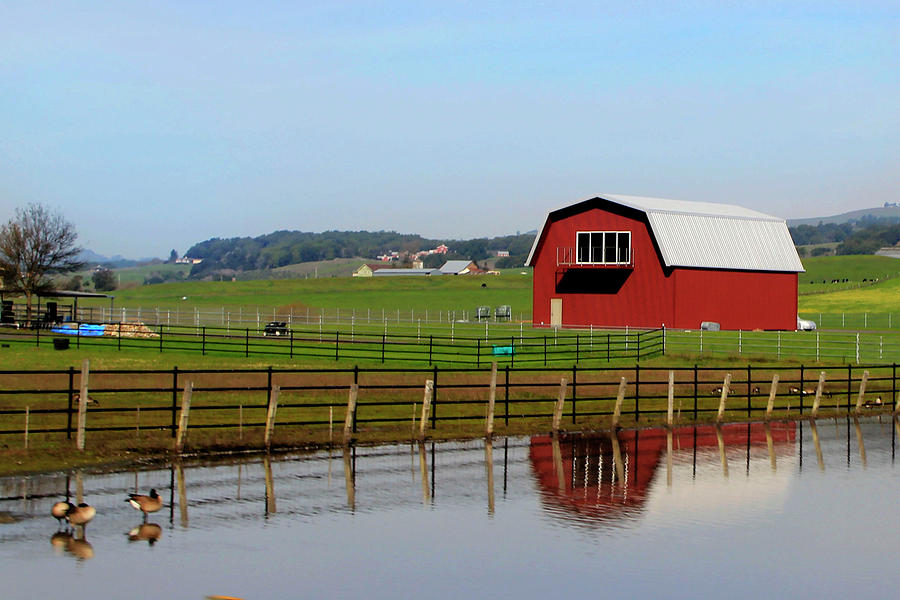 https://images.fineartamerica.com/images/artworkimages/mediumlarge/1/barn-reflection-pauline-darrow.jpg