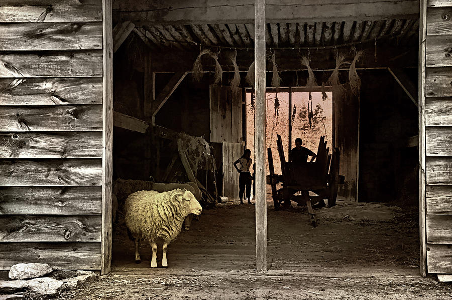 Barn Stock Photograph by Diana Angstadt