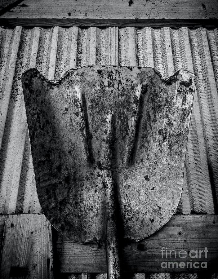 Barn Tools 2 Photograph by James Aiken