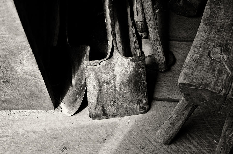 Barn Tools Photograph by Wilma  Birdwell