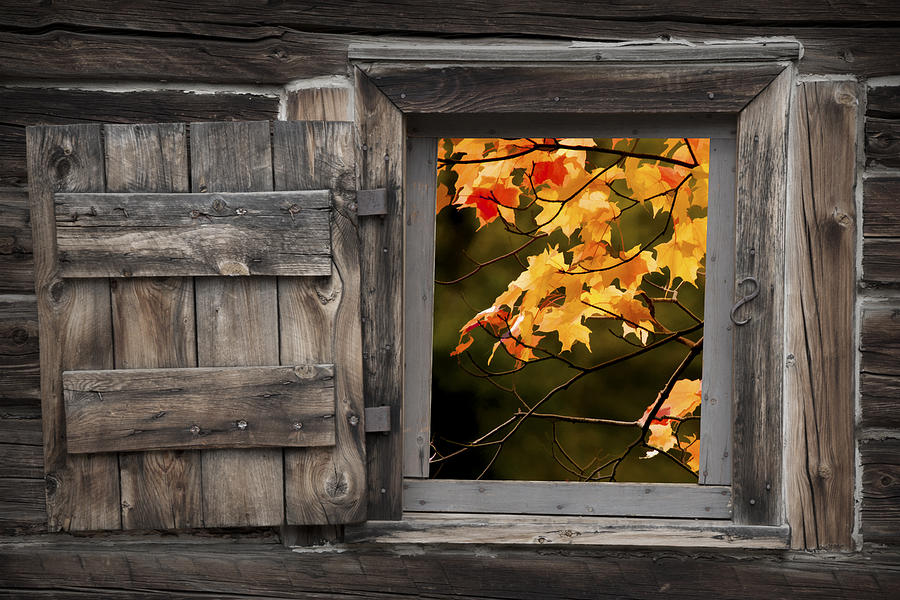 Barn Window with Colorful Fall Leaves Photograph by Randall Nyhof