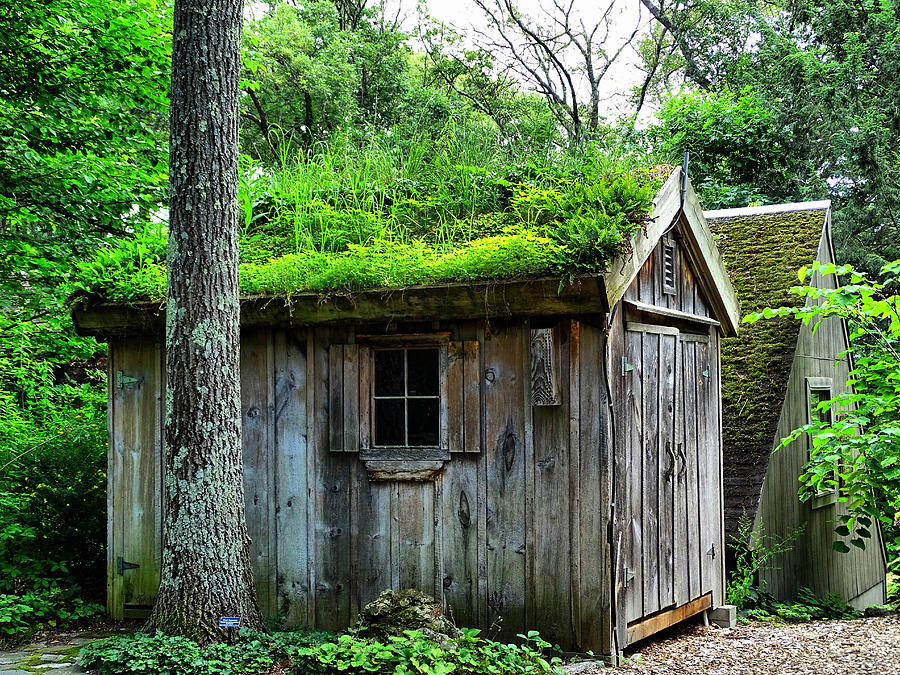 Barn with green roof Photograph by Lilia S
