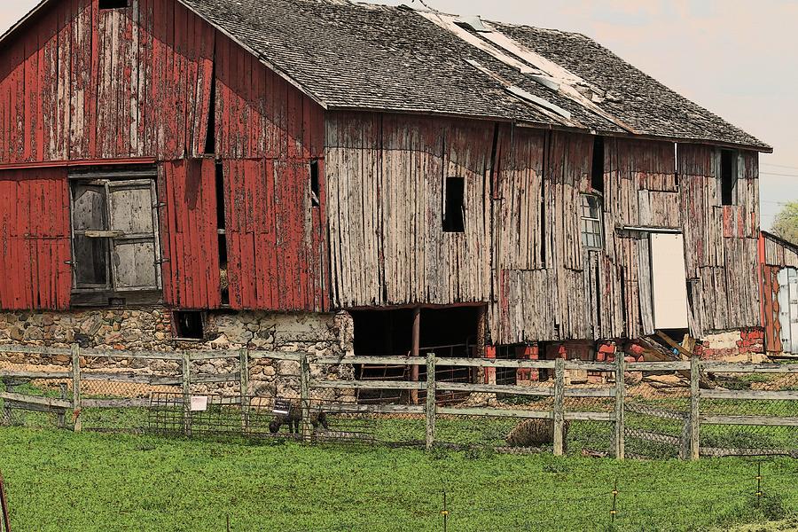 Barn With Sheep Photograph by G Berry