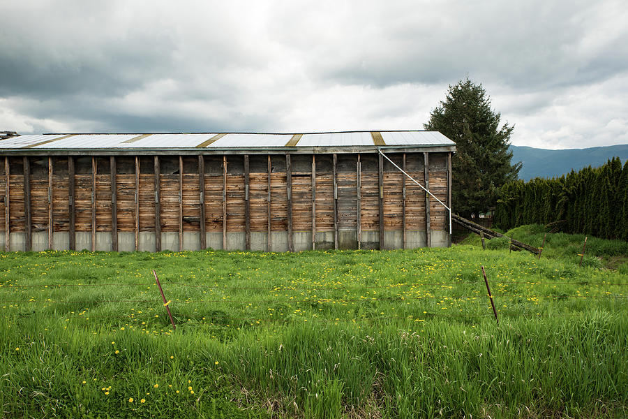 Barn Without Walls Photograph by Tom Cochran