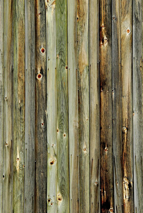 Barn Wood Photograph by Andrea Kollo