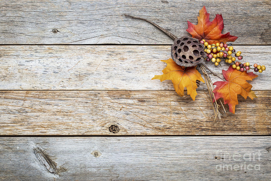 Barn Wood  Background With Fall Decoration Photograph by Marek Uliasz