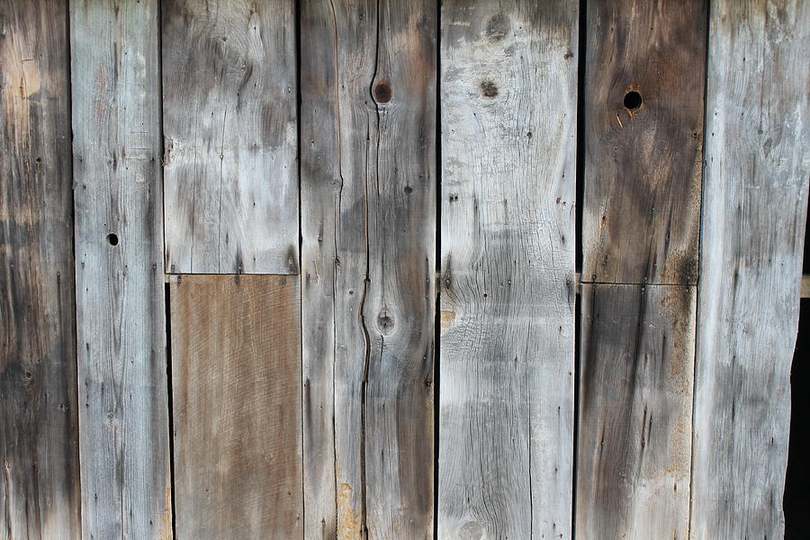 Barn Wood  Photograph by Jane Linders