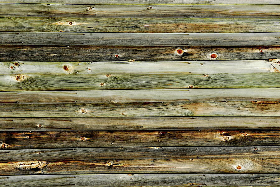 Barn Wood Texture  Photograph by Andrea Kollo