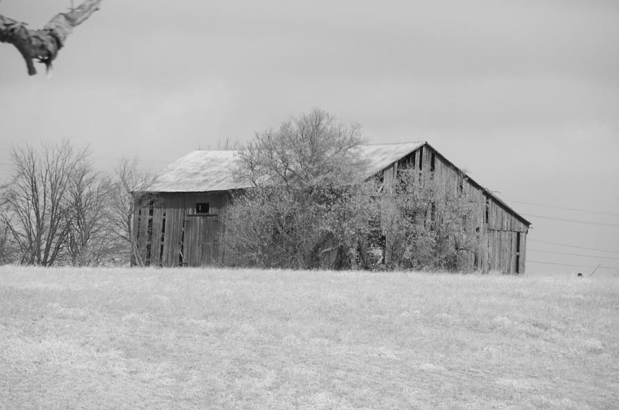 Barned Bored Photograph by Greg Hayhoe | Fine Art America