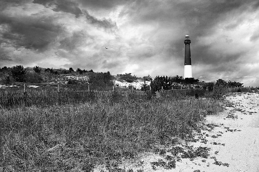 Barnegat Lighthouse Photograph by John Rivera