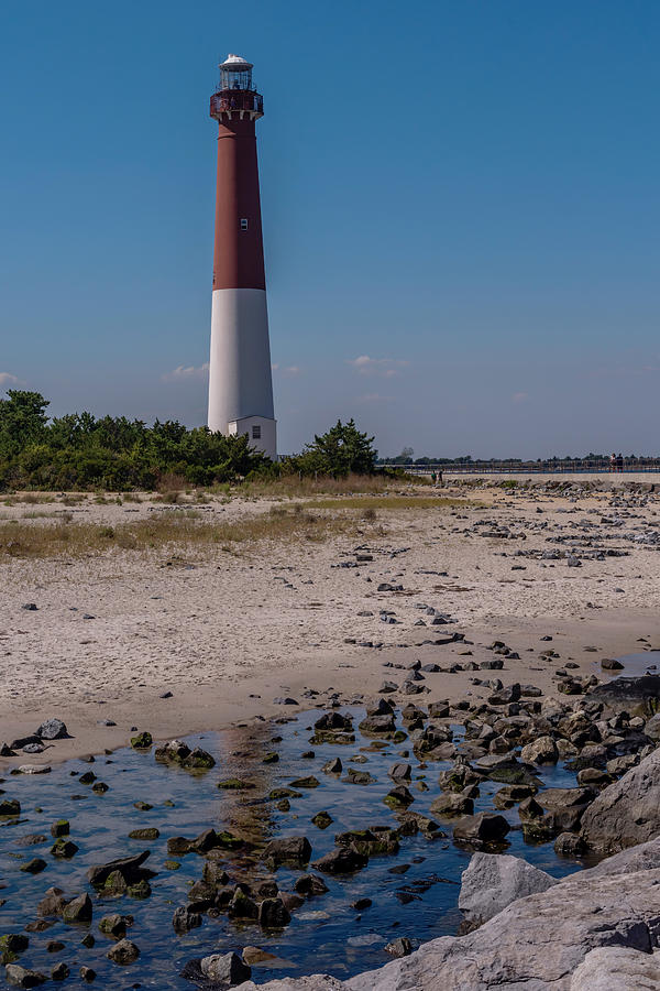 Barnegat Lighthouse NJ Photograph by Terry DeLuco