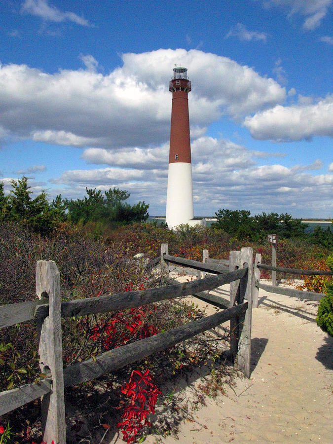 Lighthouse Photograph - Barnegat New Jersey Light House by Richard Singleton