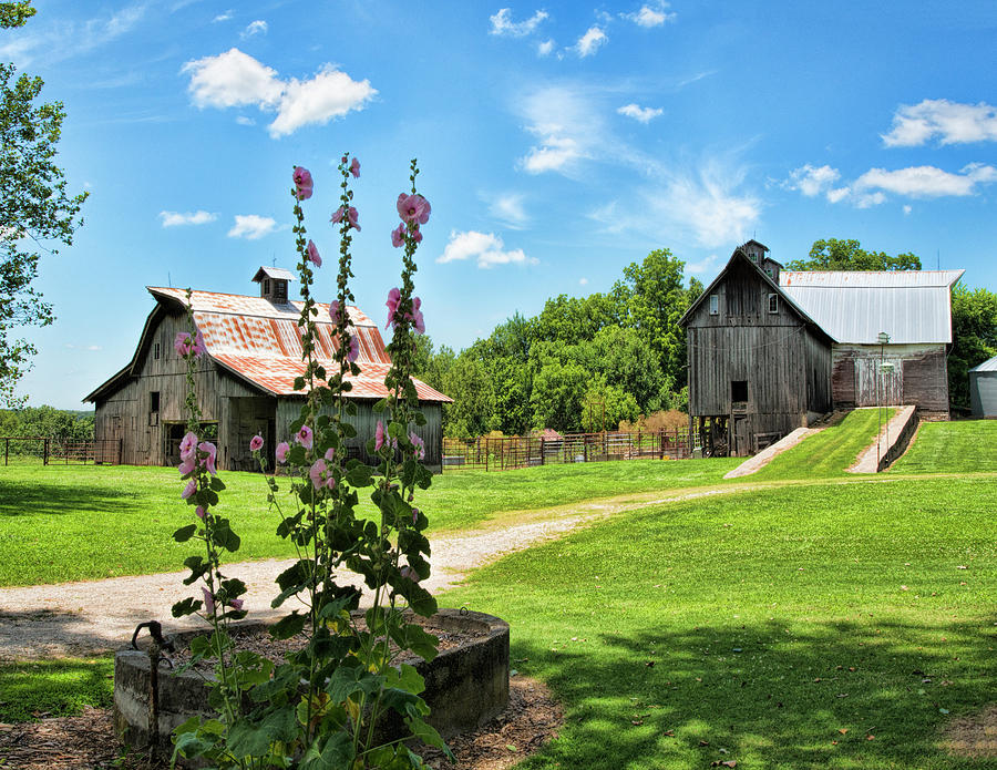 Barns and Hollyhocks Photograph by Donna Caplinger | Fine Art America