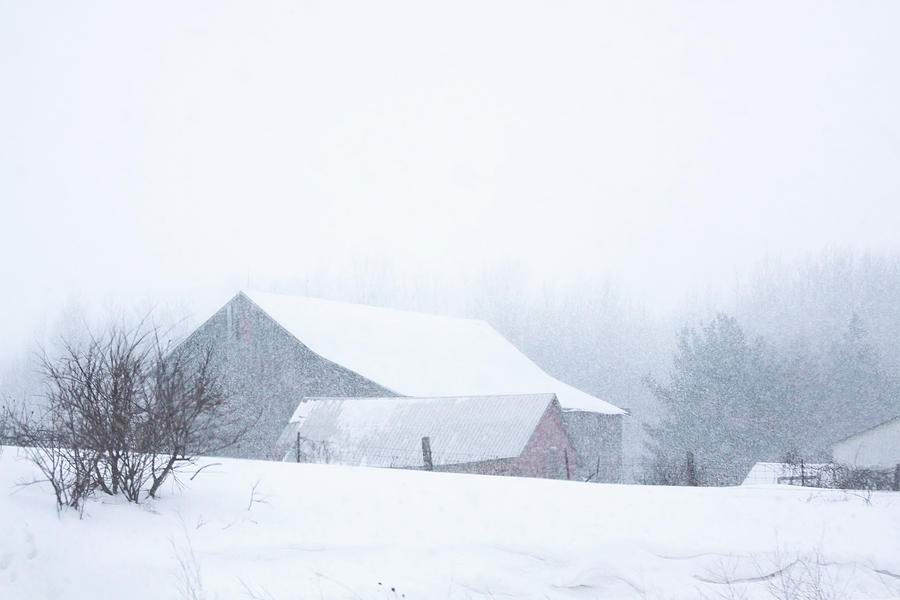 Barn Photograph - Barns in the snow by Tatiana Travelways