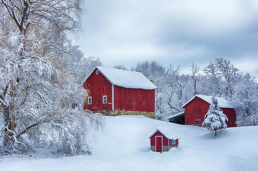 Barns in Winter Photograph by Eleanor Bortnick