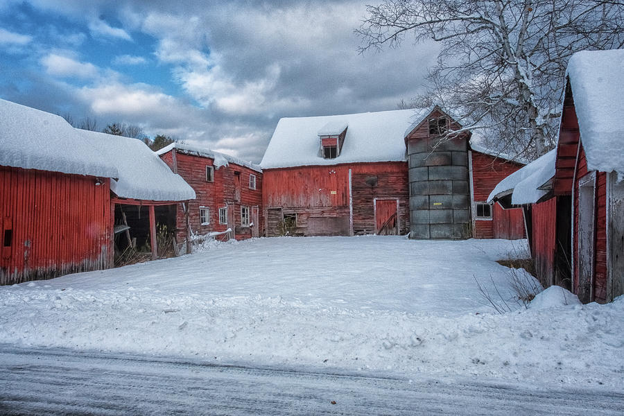 Barns In Winter II Photograph by Tom Singleton