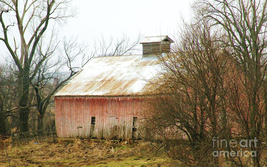 Barn Photograph - Barns of Otoe County II by Christine Belt