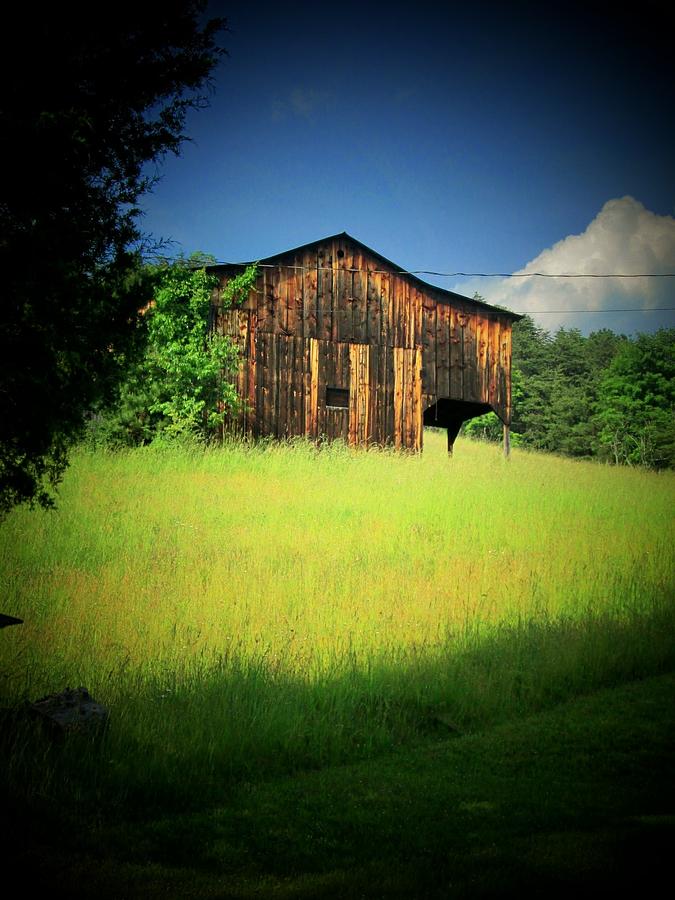 Barnyard Photograph by Heather Vickers - Fine Art America