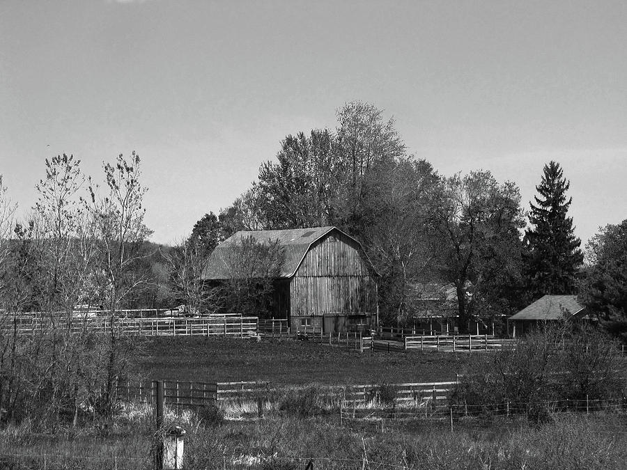 Barnyard Upstate New York - Black and White Photograph by Helaine Cummins