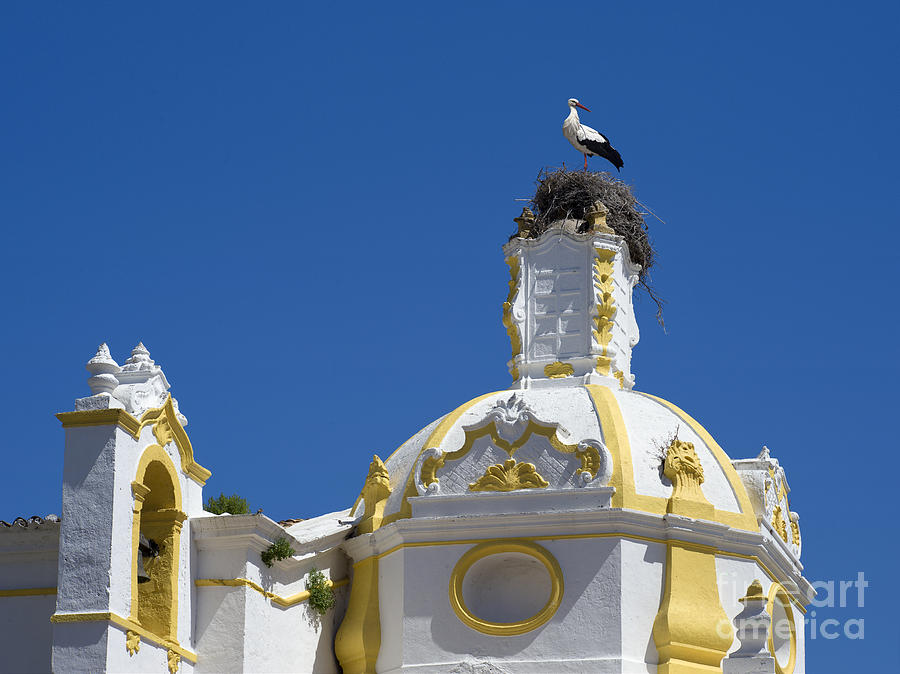 Stork Photograph - Baroque Church And Storks Nest by Mikehoward Photography