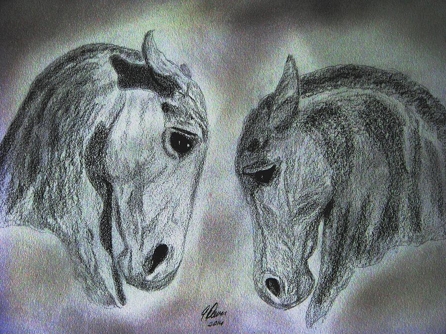 Horse Portraits Drawing - Baroque Duet by Angela Davies