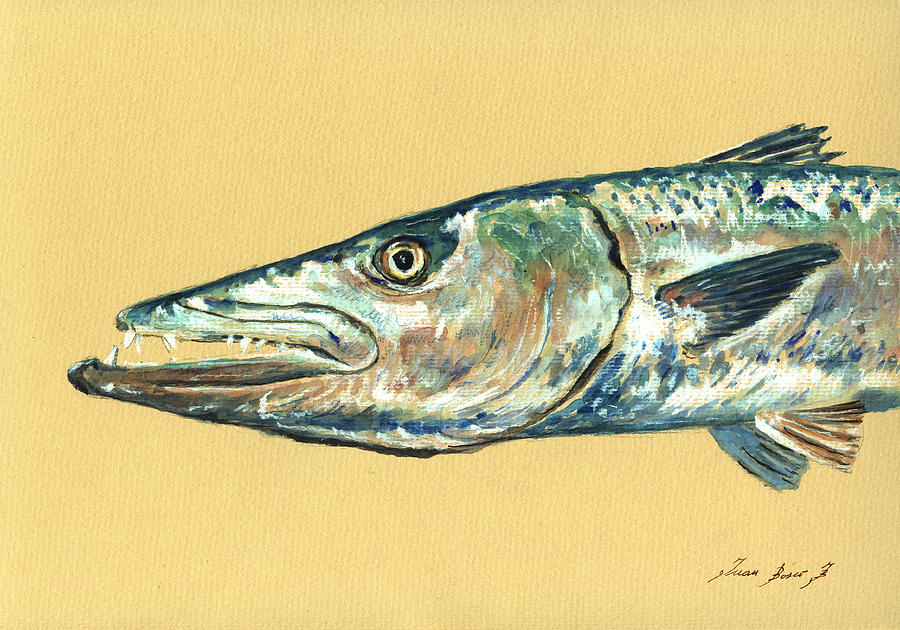 Barracuda Fish Painting - Barracuda fish by Juan  Bosco