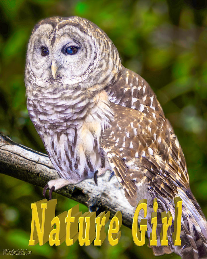 Barred Owl Nature Girl Photograph by LeeAnn McLaneGoetz McLaneGoetzStudioLLCcom