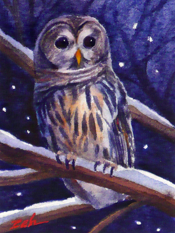 Barred Owl and Starry Sky Painting by Janet Zeh