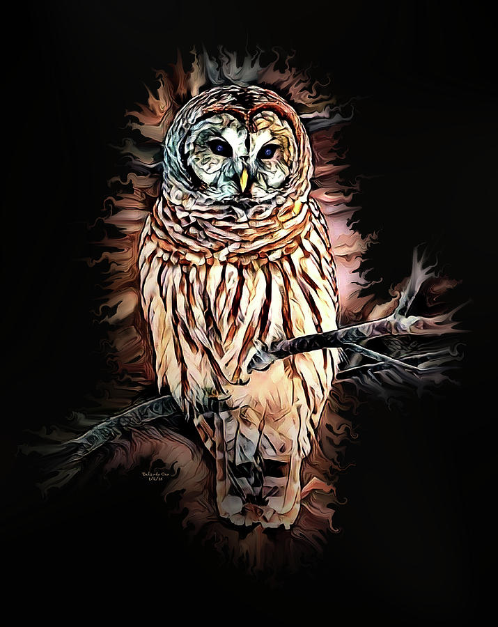 Barred Owl  Digital Art by Artful Oasis