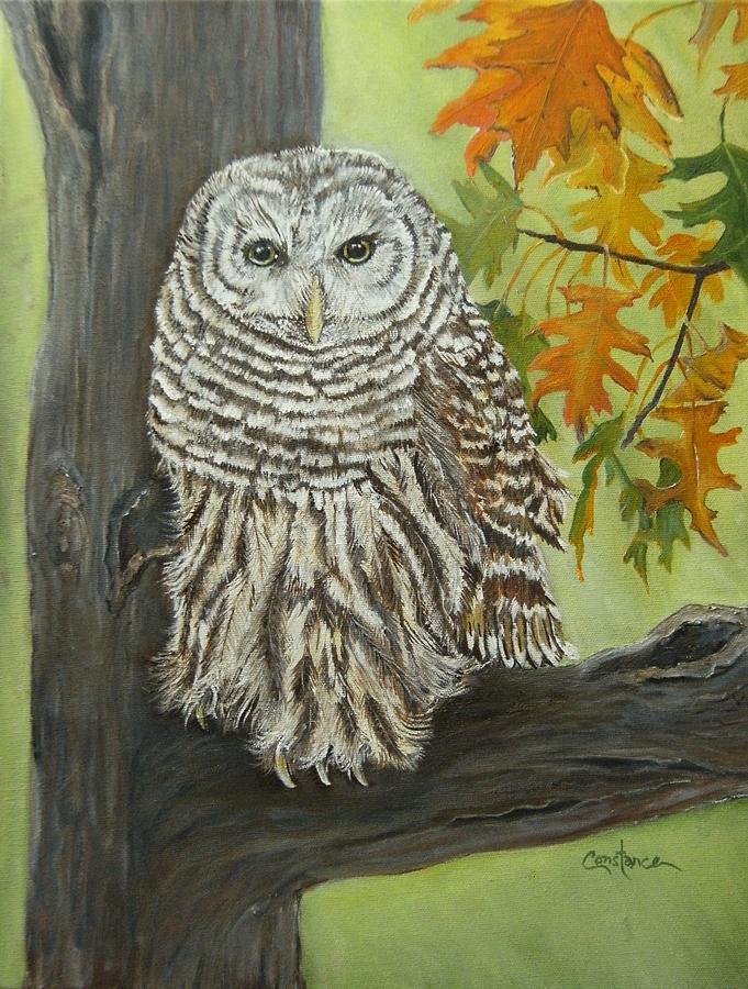 Barred Owl Painting by Connie Rowsell