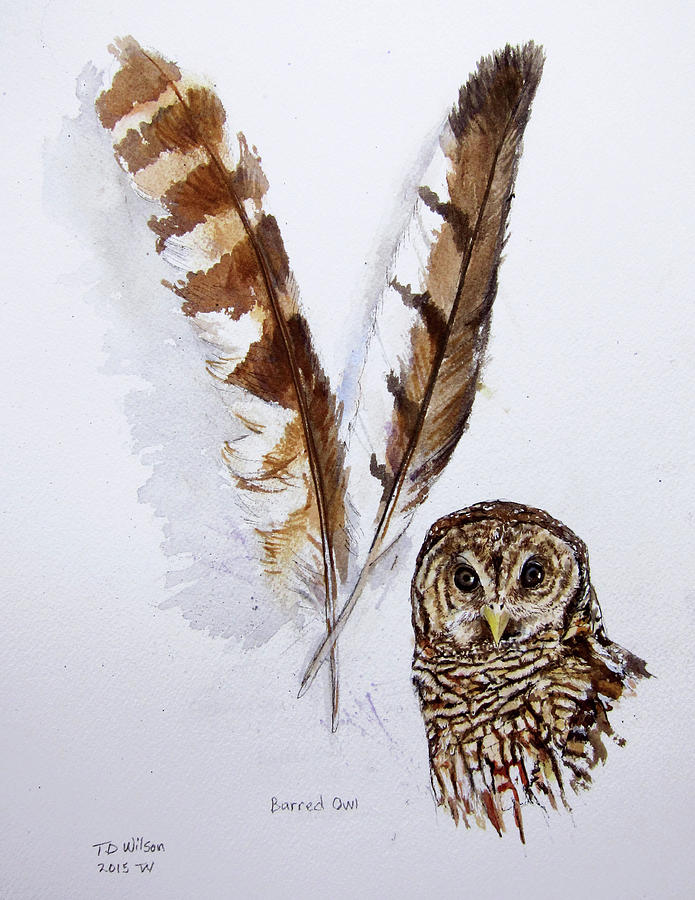 Barred Owl feathers Painting by TD Wilson