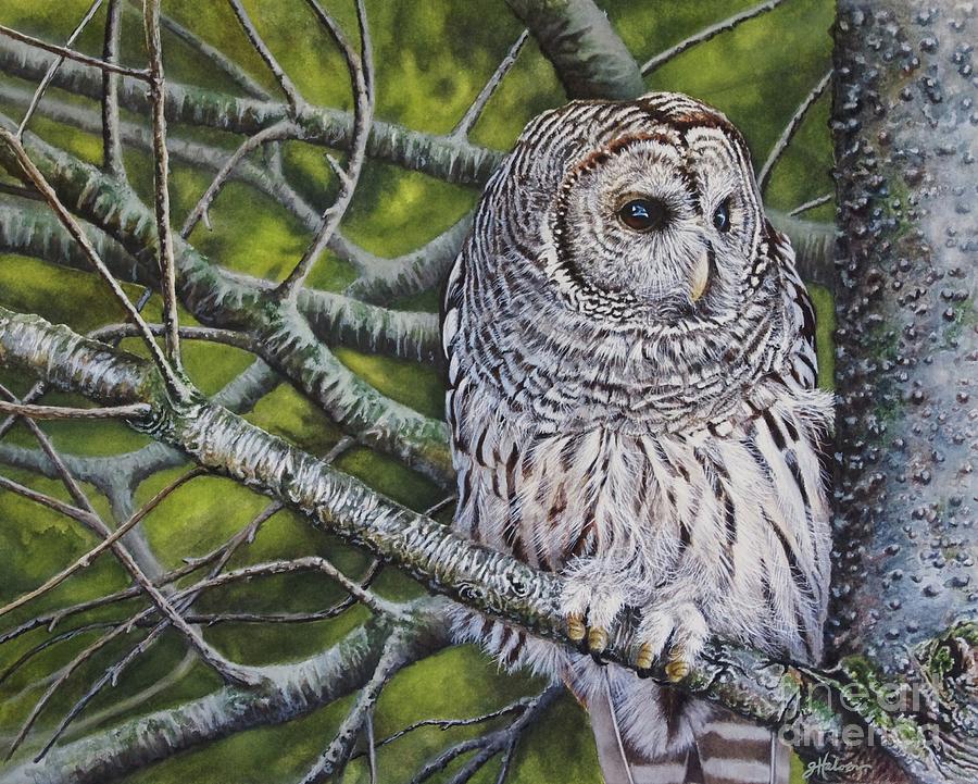 Barred Owl Painting by Greg and Linda Halom
