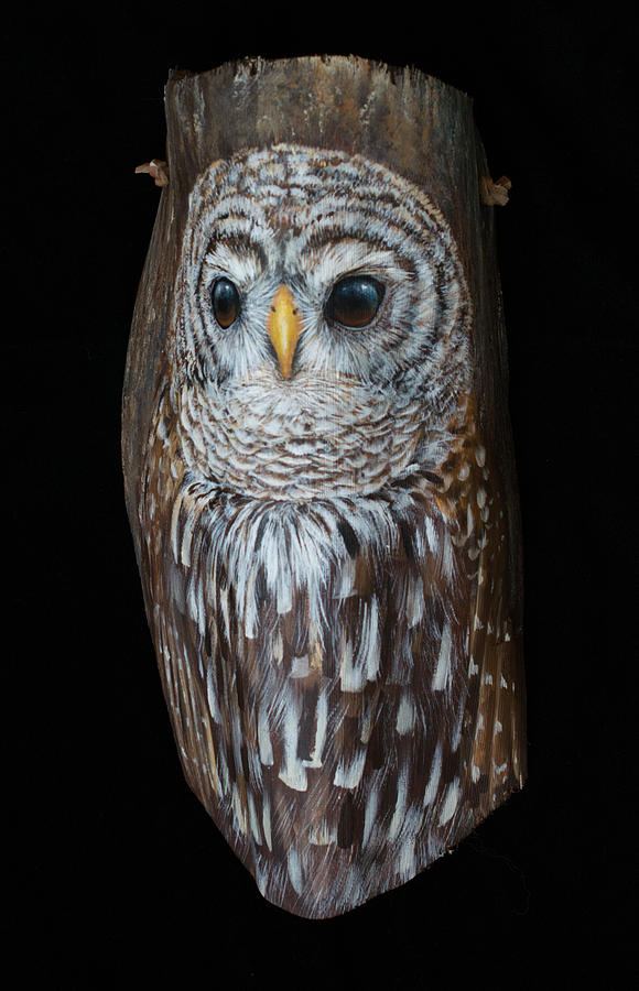 Barred Owl Sculptural Palm Frond Painting by Nancy Lauby