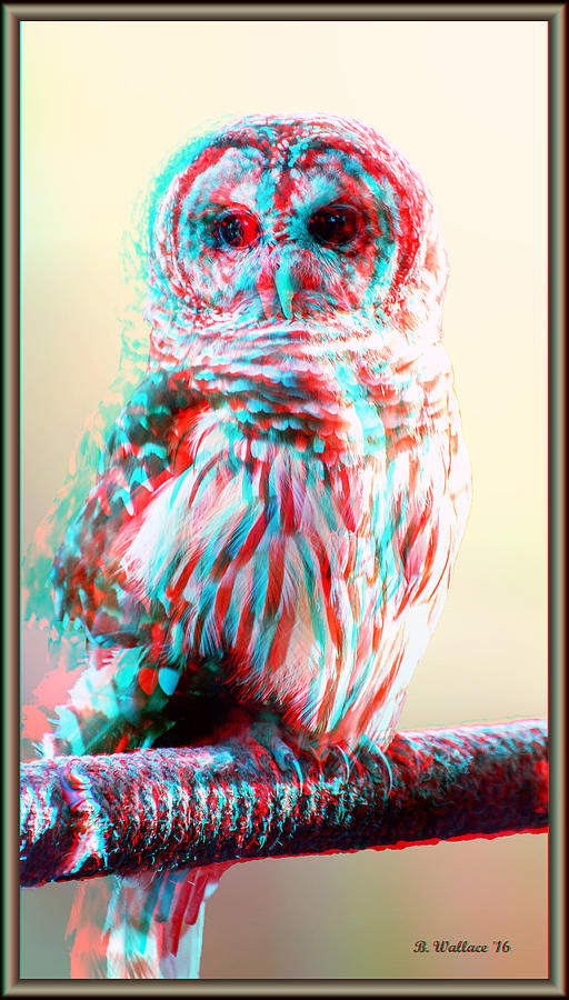Barred Owl - Use Red-Cyan 3D glasses Photograph by Brian Wallace