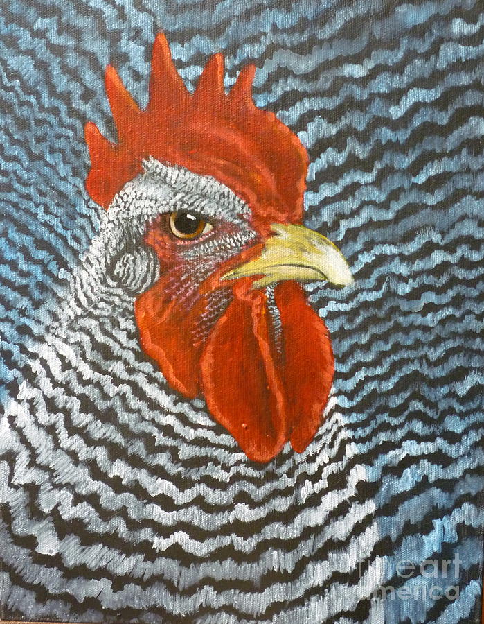 Barred Rock Rooster Painting by Sherrill Hull - Fine Art America