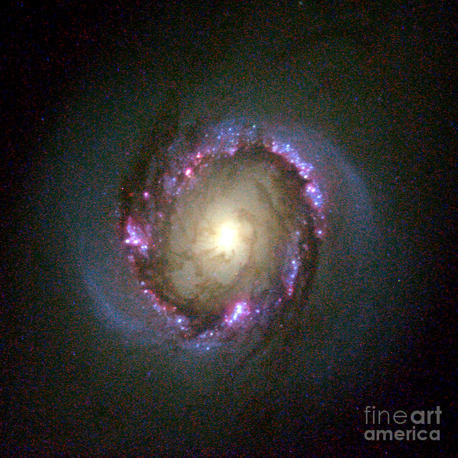 Barred Spiral Galaxy, Ngc 4314 Photograph by Science Source