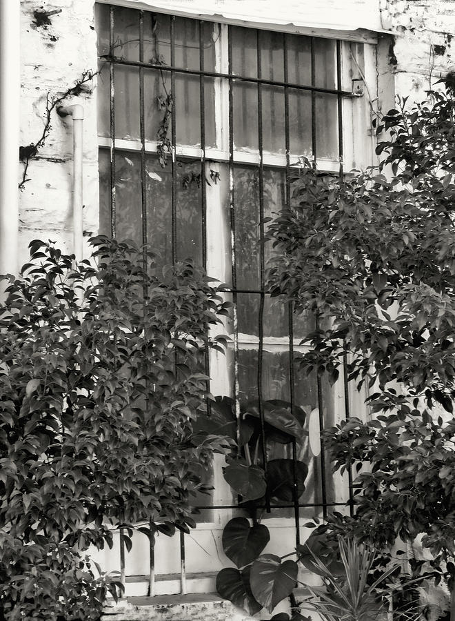 Barred Window Photograph by Rosalie Scanlon